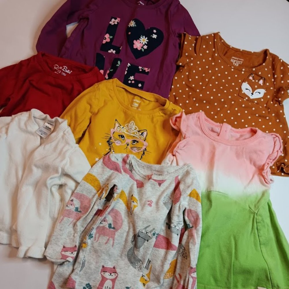 Baby Girls 12-18M Lot - Carters, Jumping Beans, Ruffle Butts, Burts Bees